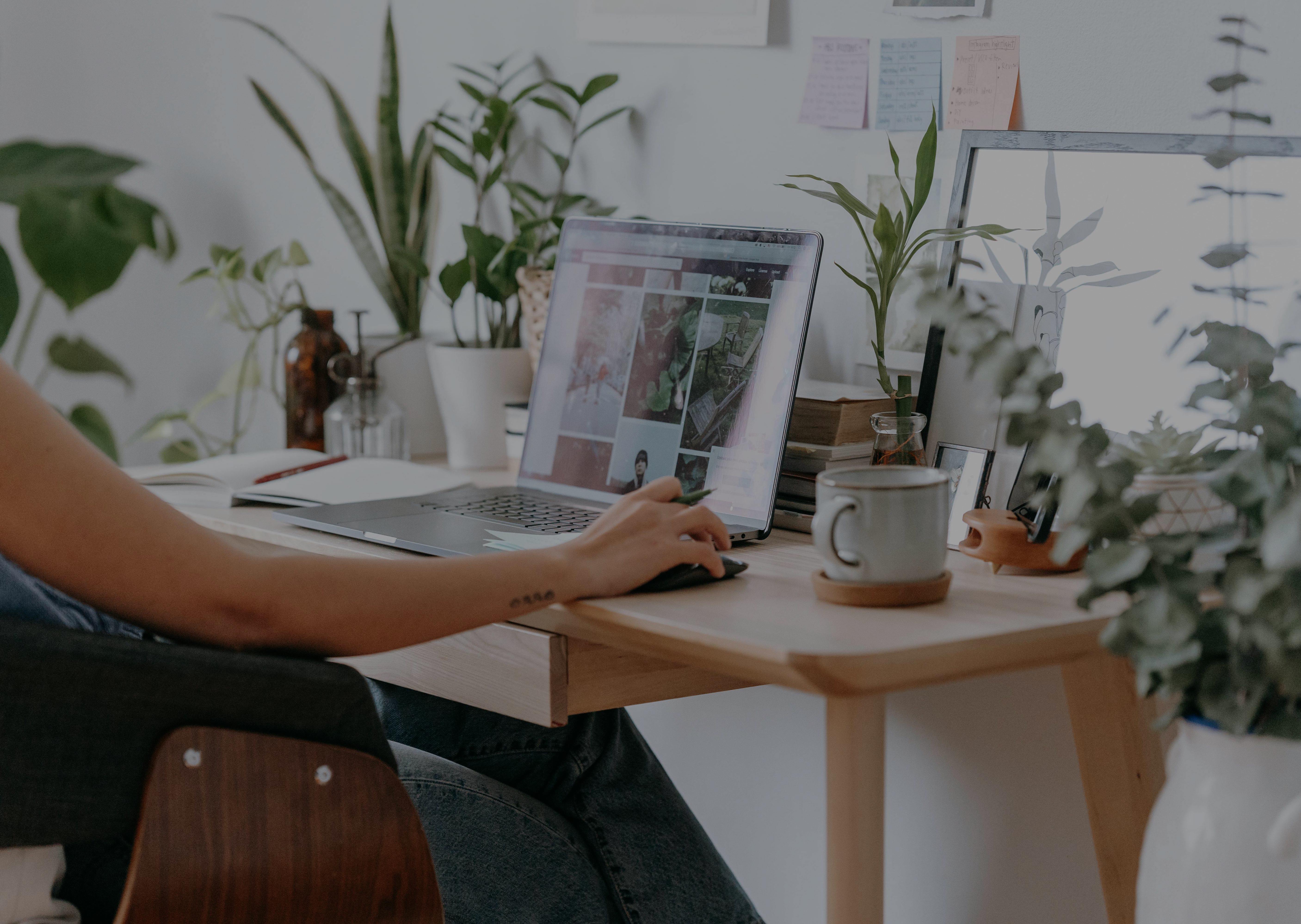 Creative workspace with laptop and plants